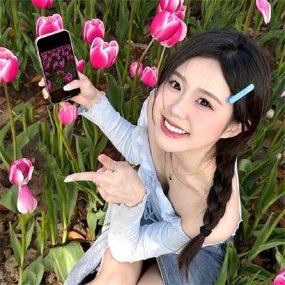 漂亮马驹