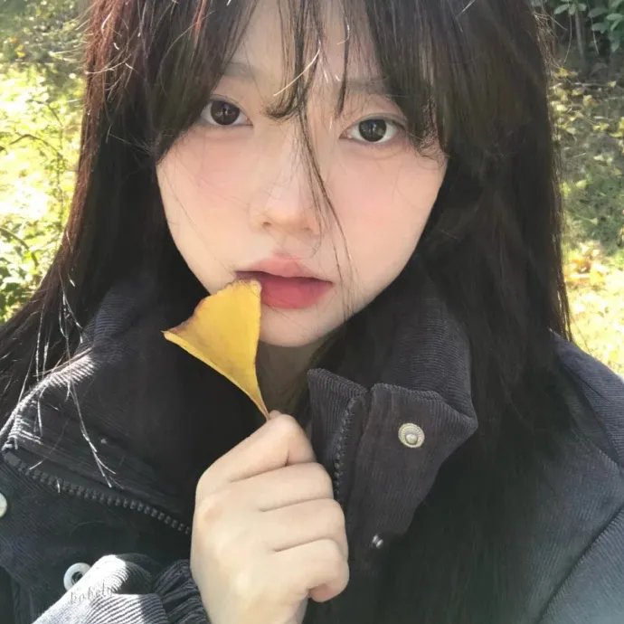 贞操带